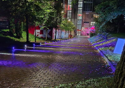 Ein beleuchteter Weg im Park bei Nacht mit blauen und violetten Lichtern, die auf den nassen Pflastersteinen reflektieren. Bäume und ein Gebäude sind im Hintergrund sichtbar.